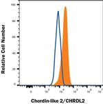 CHRDL2 Monoclonal Antibody (272905)