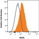 DPP6 Antibody in Flow Cytometry (Flow)