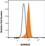 S100A10 Antibody in Flow Cytometry (Flow)