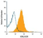 CCRL2 Monoclonal Antibody (498321)