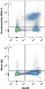 Thrombomodulin Monoclonal Antibody (501733)