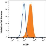 AEBP1 Antibody in Flow Cytometry (Flow)