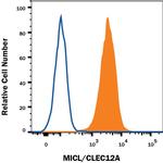 CLEC12A Monoclonal Antibody (687317)
