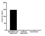 LIF Antibody in ELISA (ELISA)