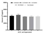 LIF Antibody in ELISA (ELISA)