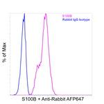 S100B Antibody in Flow Cytometry (Flow)