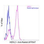 ErbB2 (HER-2) Antibody in Flow Cytometry (Flow)