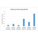 H3K4me1 Antibody in ChIP Assay (ChIP)