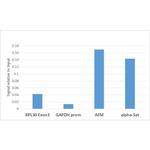H3K9me2 Antibody in ChIP Assay (ChIP)