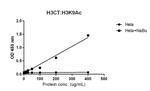 Histone H3 Antibody in ELISA (ELISA)