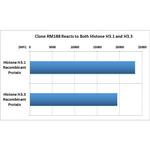 Histone H3 Antibody in Luminex (LUM)