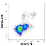 LAMP2 Antibody in Flow Cytometry (Flow)
