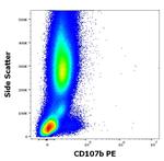 LAMP2 Antibody in Flow Cytometry (Flow)
