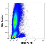 LAMP2 Antibody in Flow Cytometry (Flow)
