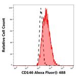 CD146 Monoclonal Antibody (P1H12), Alexa Fluor™ 488