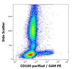 CD160 Antibody in Flow Cytometry (Flow)