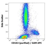 CD163 Antibody in Flow Cytometry (Flow)