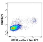 CCR3 Monoclonal Antibody (5E8)