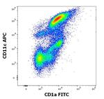 CD1a Monoclonal Antibody (SK9), FITC