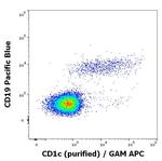 CD1c Antibody in Flow Cytometry (Flow)