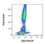 CD21 Antibody in Flow Cytometry (Flow)