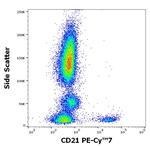 CD21 Antibody in Flow Cytometry (Flow)