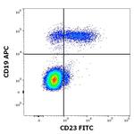 CD23 Antibody in Flow Cytometry (Flow)