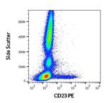 CD23 Antibody in Flow Cytometry (Flow)