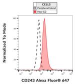 P-Glycoprotein Monoclonal Antibody (UIC2), Alexa Fluor™ 647