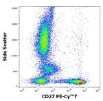CD27 Antibody in Flow Cytometry (Flow)