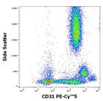 CD31 Antibody in Flow Cytometry (Flow)