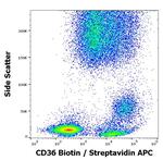 CD36 Antibody in Flow Cytometry (Flow)