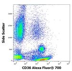 CD36 Antibody in Flow Cytometry (Flow)