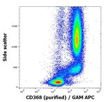 CLEC4D Antibody in Flow Cytometry (Flow)