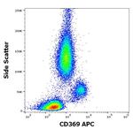 Dectin 1 Antibody in Flow Cytometry (Flow)