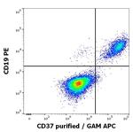CD37 Antibody in Flow Cytometry (Flow)