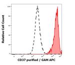 CD37 Monoclonal Antibody (MB-1)