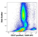 CD37 Antibody in Flow Cytometry (Flow)