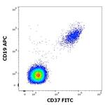 CD37 Antibody in Flow Cytometry (Flow)