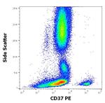 CD37 Antibody in Flow Cytometry (Flow)