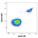 CD37 Antibody in Flow Cytometry (Flow)