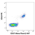 CD37 Antibody in Flow Cytometry (Flow)