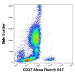 CD37 Antibody in Flow Cytometry (Flow)