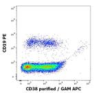 CD38 Antibody in Flow Cytometry (Flow)
