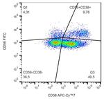 CD38 Monoclonal Antibody (HIT2), APC-Cyanine7