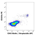 CD63 Antibody in Flow Cytometry (Flow)