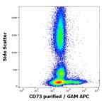 CD73 Antibody in Flow Cytometry (Flow)