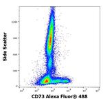 CD73 Antibody in Flow Cytometry (Flow)