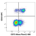 CD73 Antibody in Flow Cytometry (Flow)