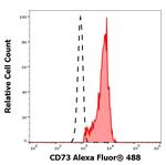 CD73 Antibody in Flow Cytometry (Flow)